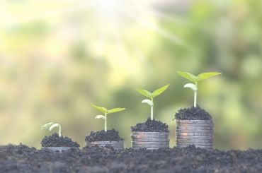 תמונה כנס מיסים