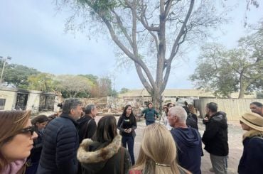 תמונה מפורים