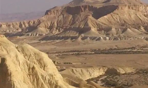 שדה בוקר