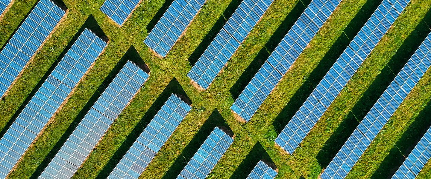 עדכונים מקצועיים 