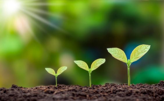 אחריות תאגידית3