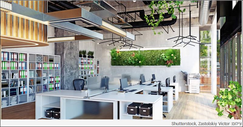 צילום משרד בסביבת עבודה ירוקה 